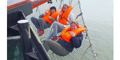  Segelrüstzeit auf dem Ijsselmeer (Foto: Marcella Jakobi)